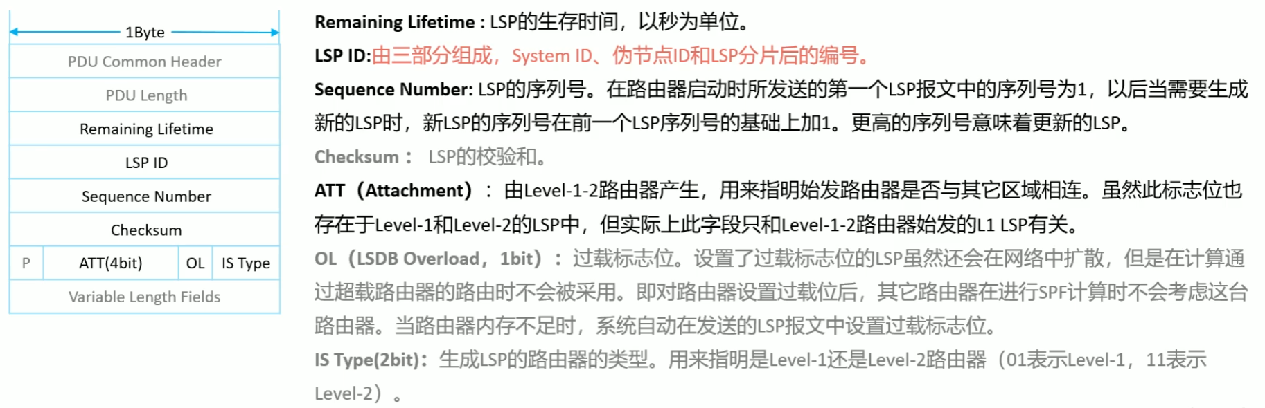 image-33